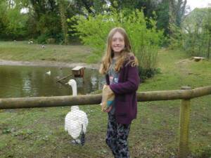 Girl feeding ducks in park