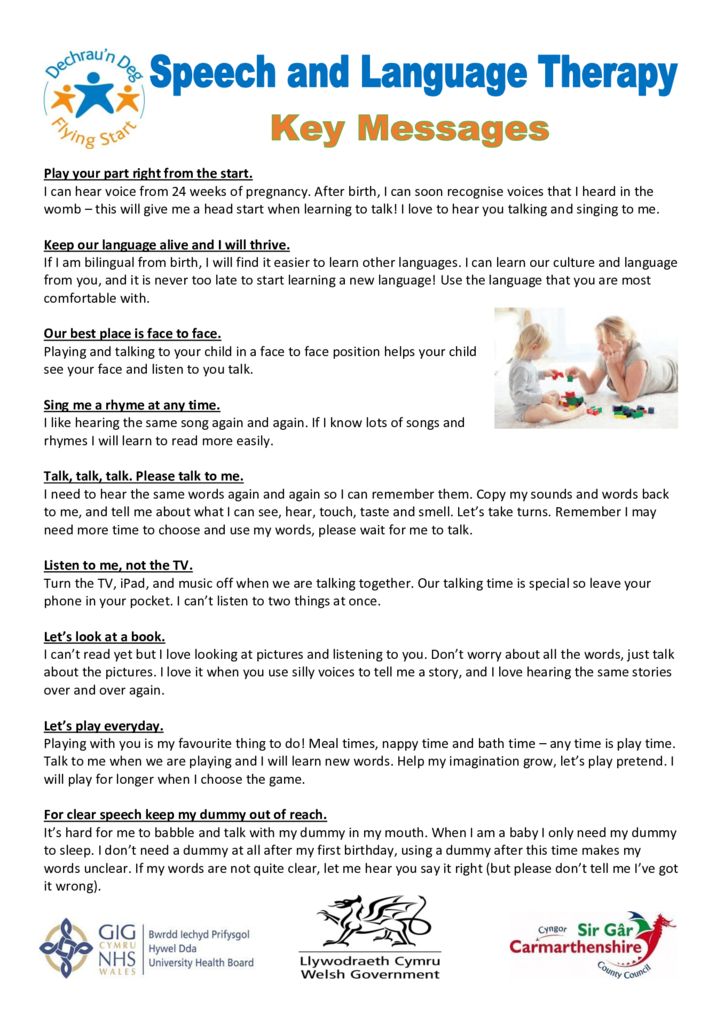 Key Message Booklet 'Learning to Talk' key messages - Carmarthenshire Family Information ...