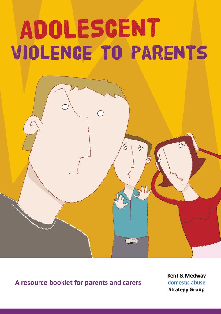 Adolescent violence to parents Feb 20161 Carmarthenshire Family