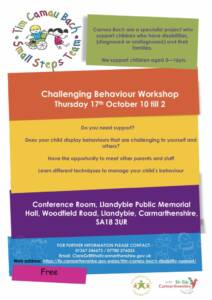 thumbnail of Tim Camau bach challenging behaviour poster