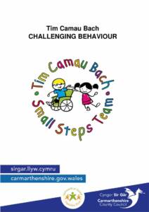 thumbnail of CHALLENGING BEHAVIOUR 2020 edition