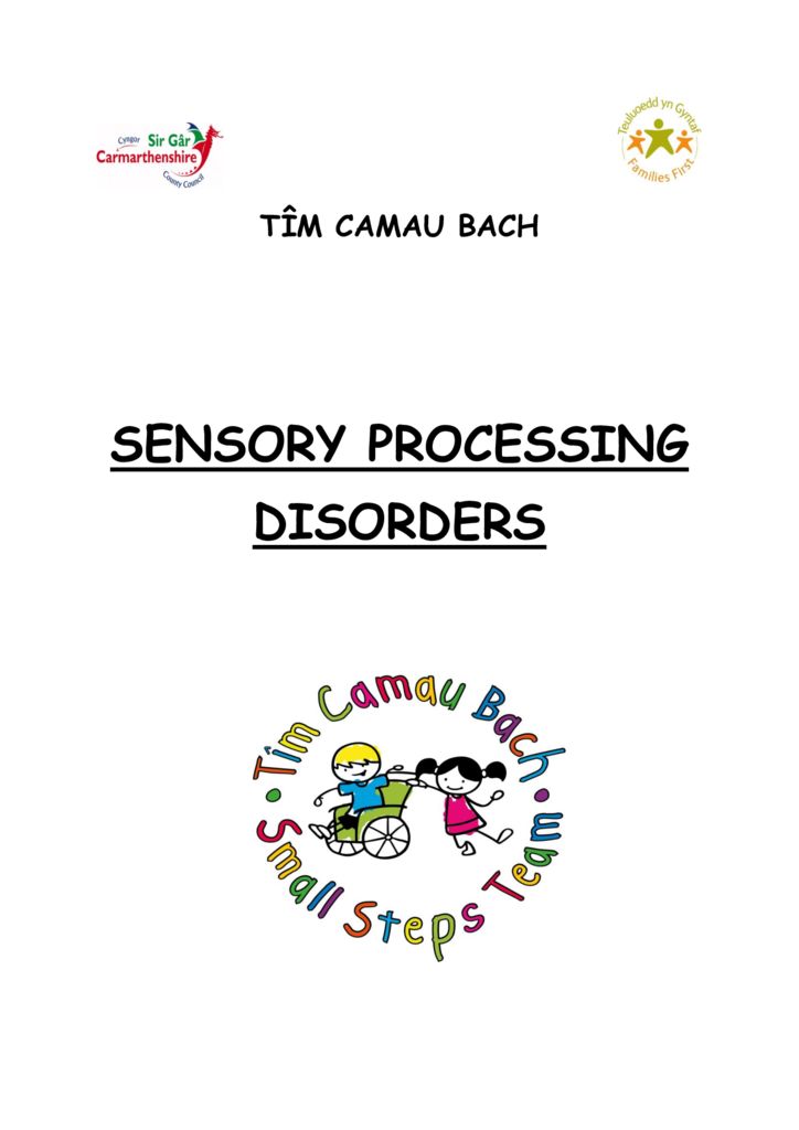 Overview of Sensory Processing Disorder Carmarthenshire Family