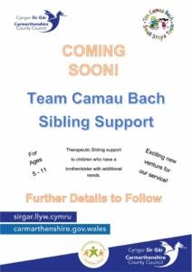 thumbnail of Sibling Support Poster
