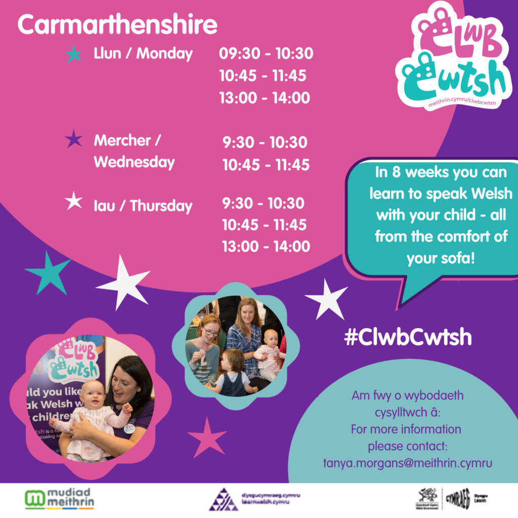 Welsh homework help image