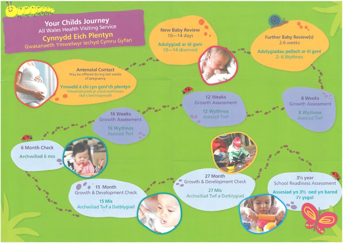 Health Visitors - Carmarthenshire Family Information Service